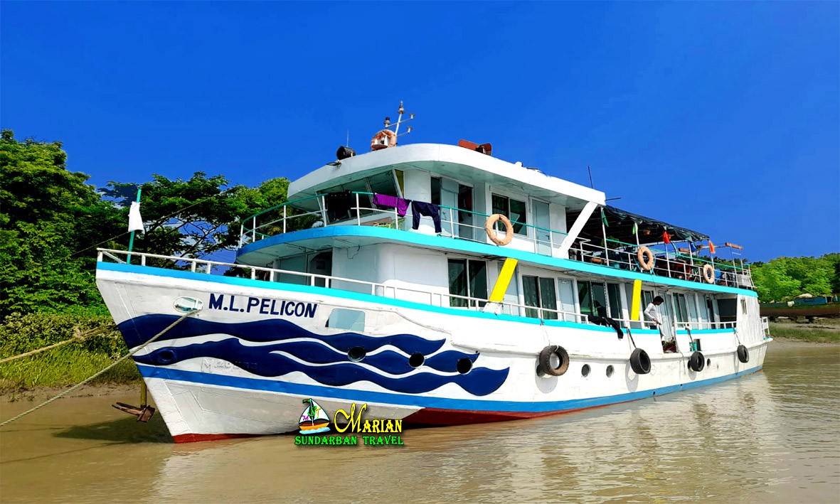 M.L Pelican Premium Tourist Vassal